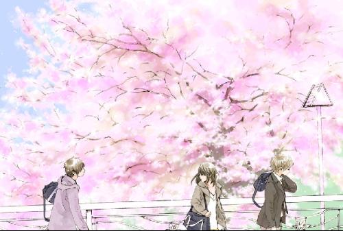 红桃影视网页版